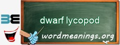 WordMeaning blackboard for dwarf lycopod